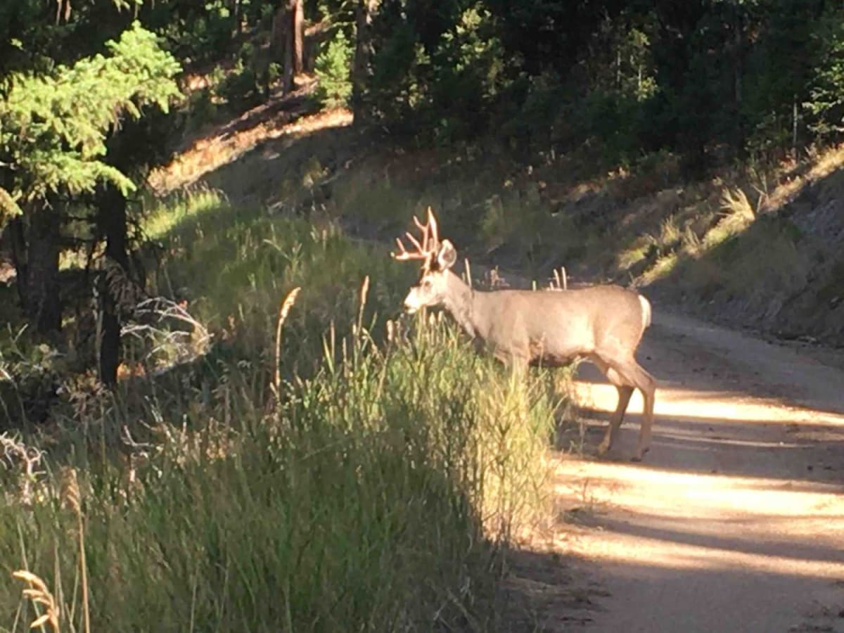 Tepee Creek Trail trail photo