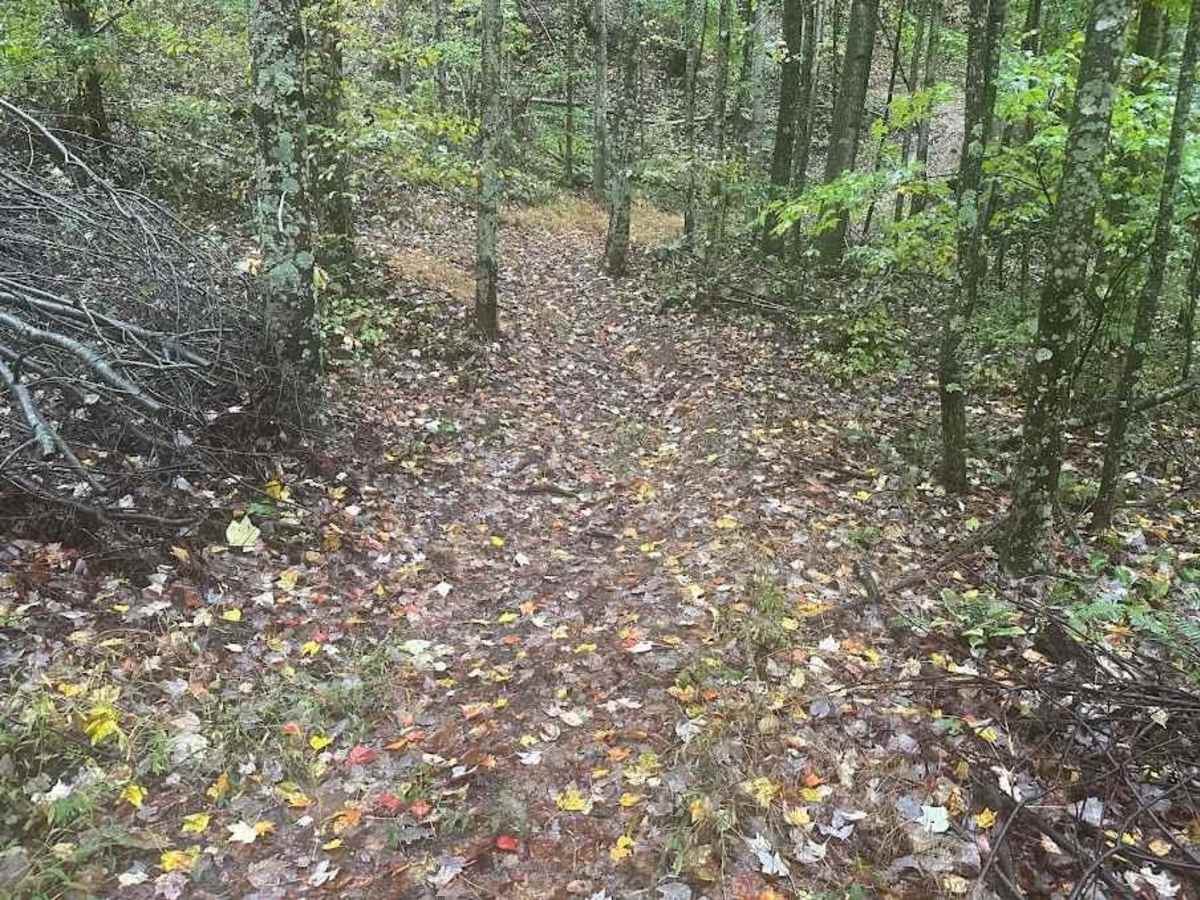 189 Single Track photo 2