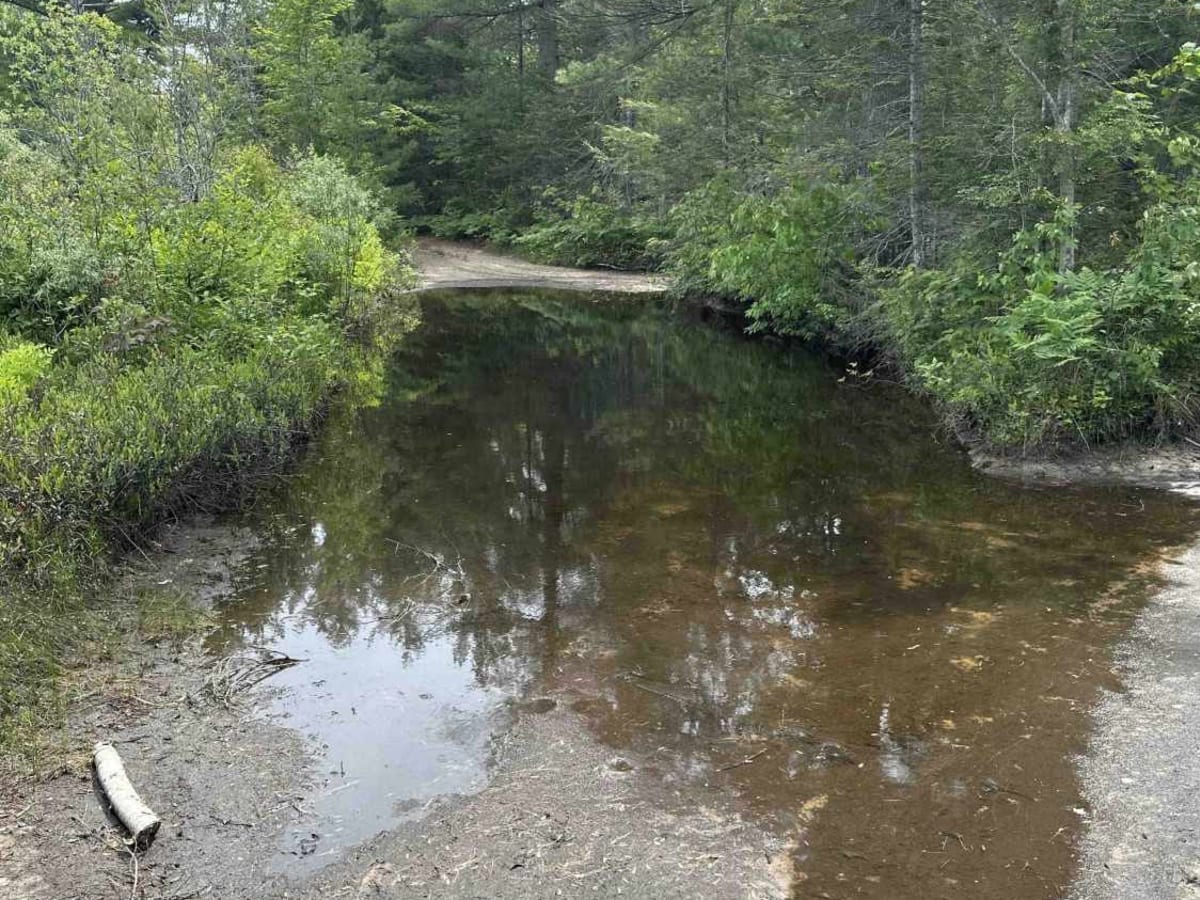 Dells Mills photo 3