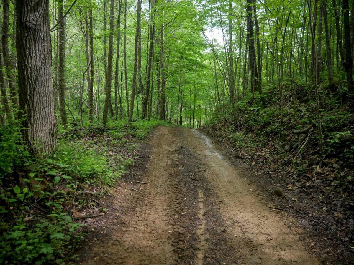 OP 46 trail photo