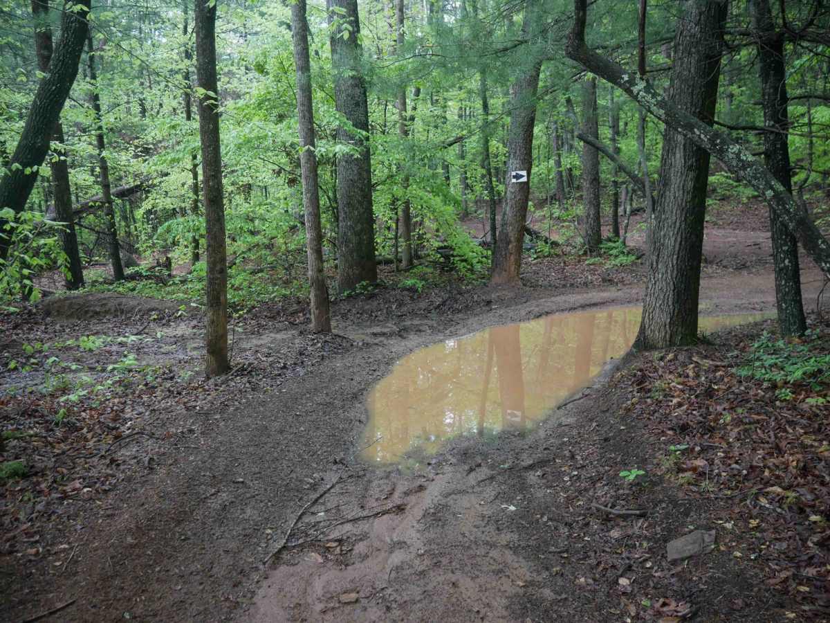 Youth Trail photo 3