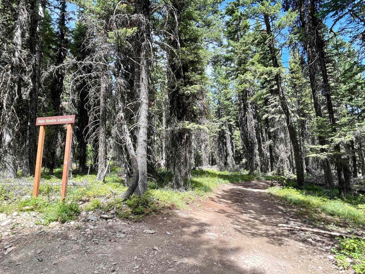 Wild Bill Truman Creek Trail photo 2