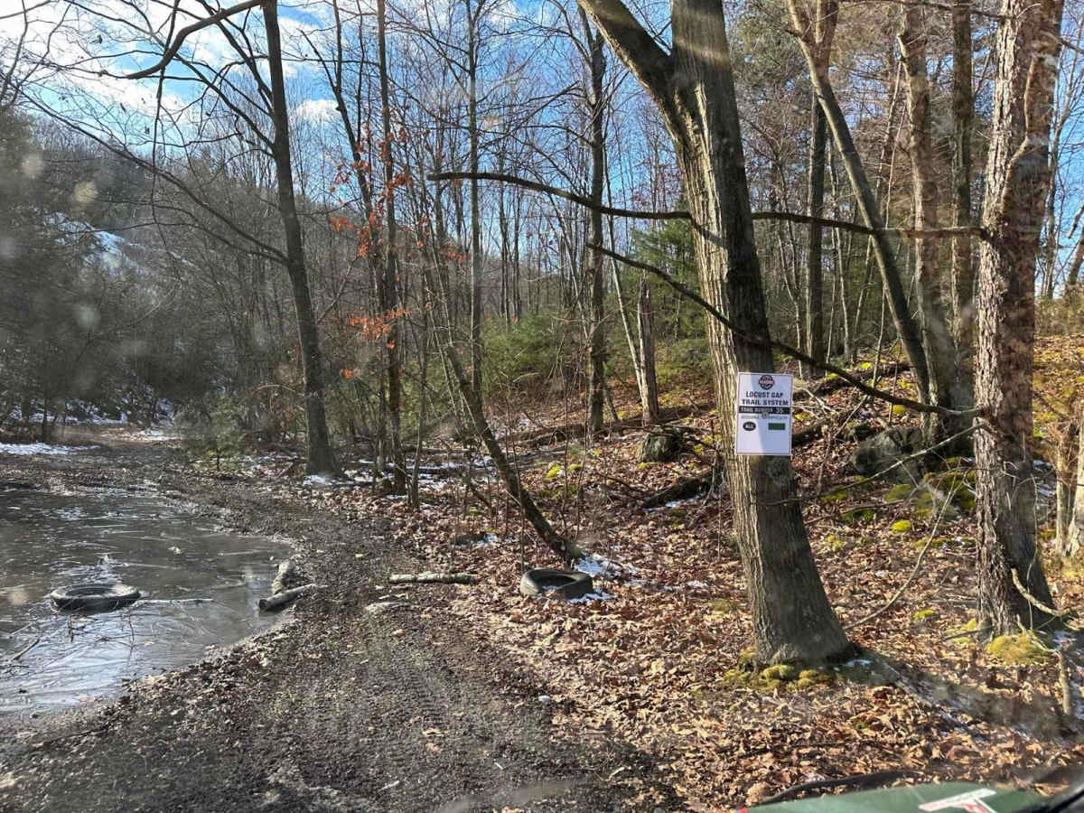 Locust Gap 35 photo 6