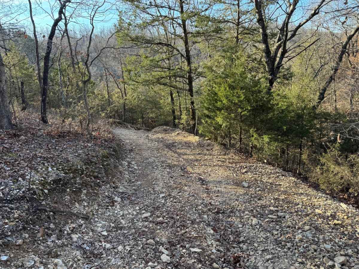 Yellow 357 trail photo