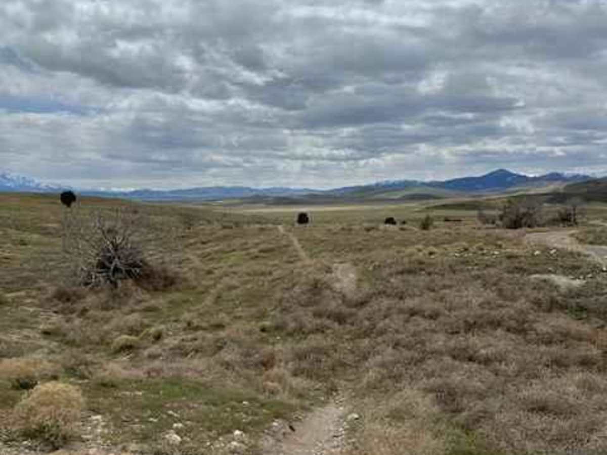 Gunsight photo 5