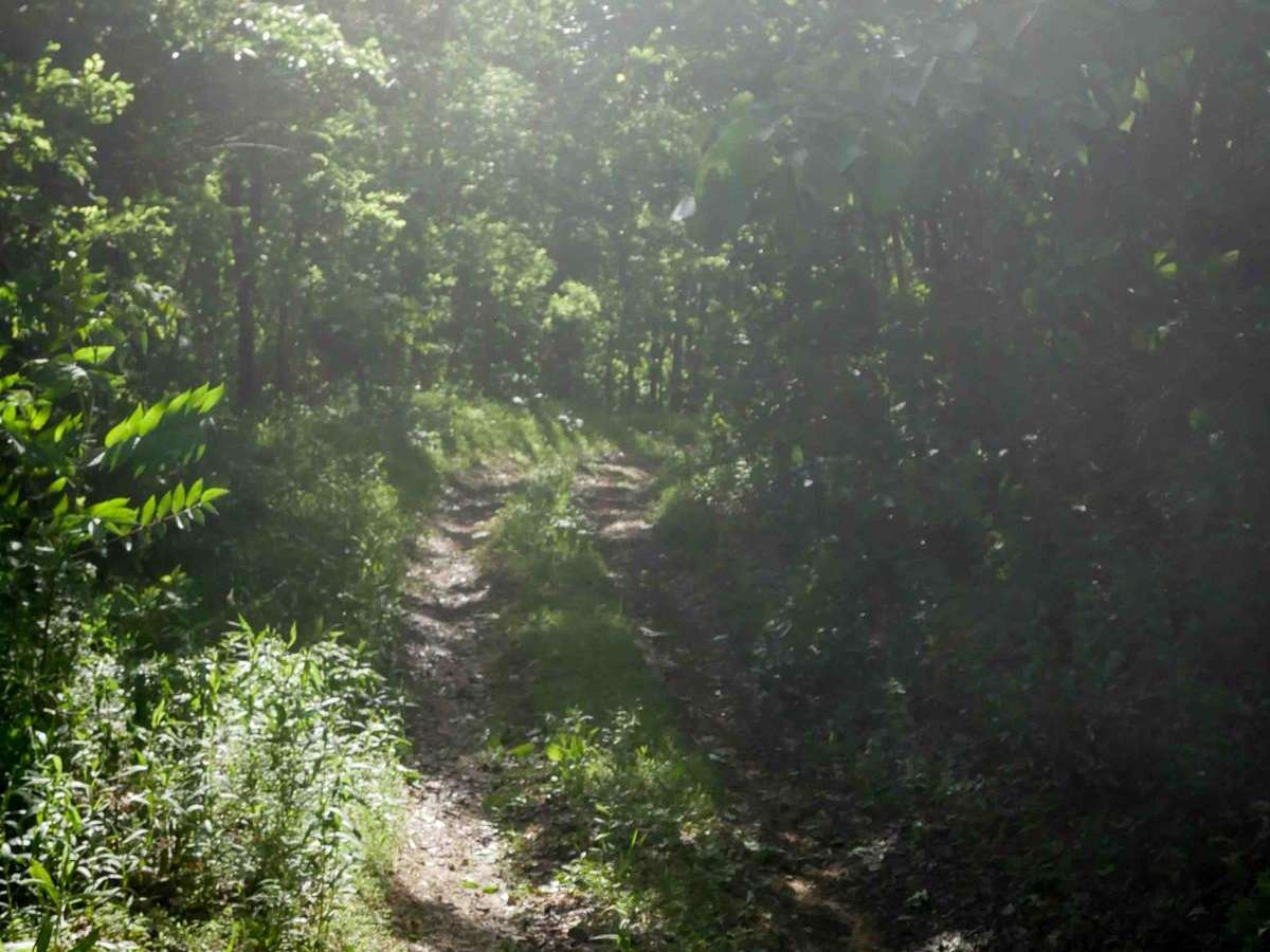 RV11 photo 6