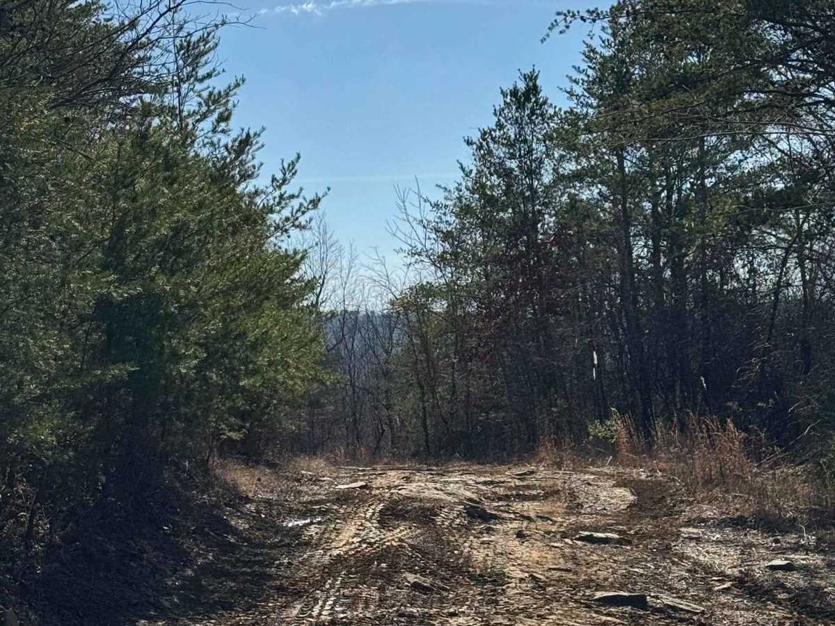#93 Upper Access photo 3