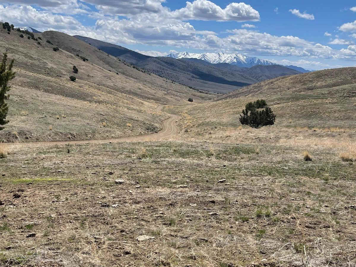 Spaulding Canyon Trail photo 3