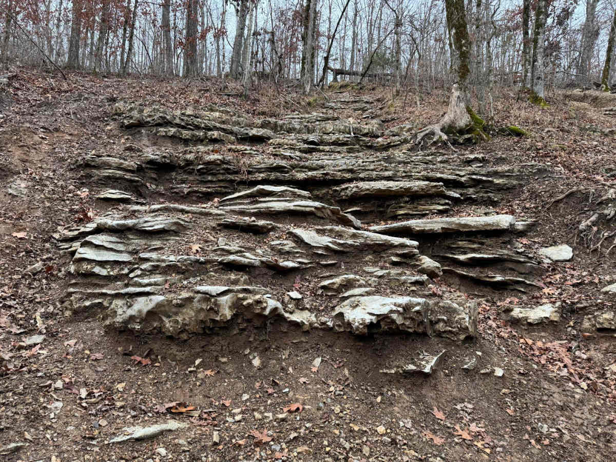Dave's Hill 354 photo 2