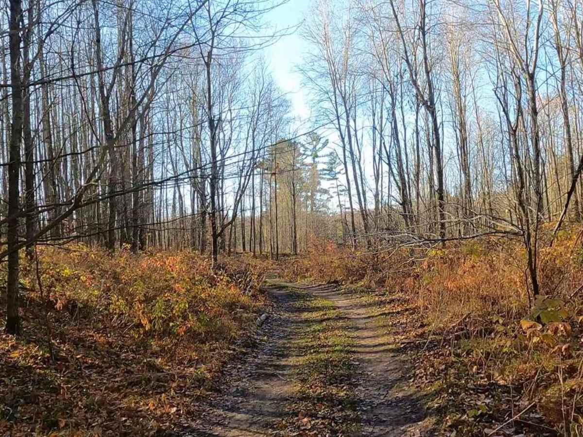 Twin Creek Twisty Trail photo 3