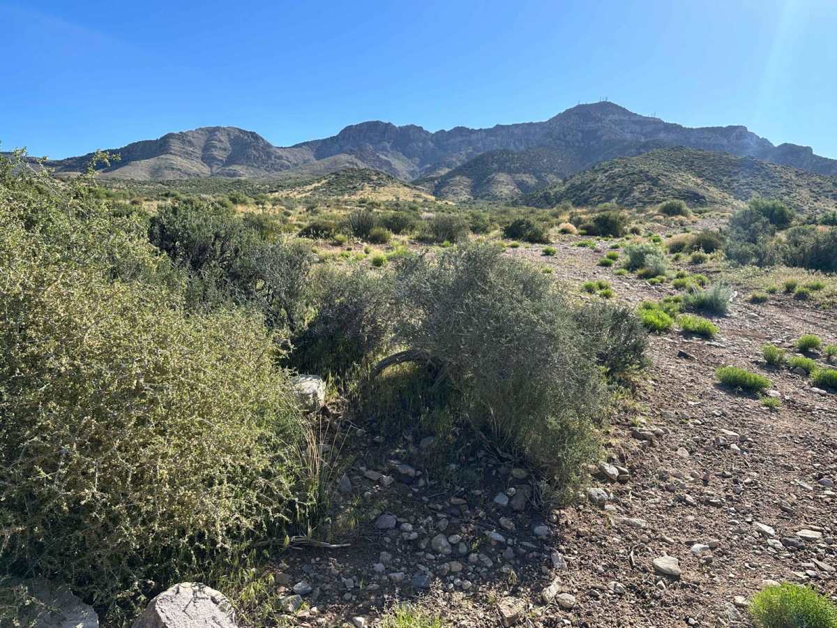 Hells Hole Pass Road trail photo
