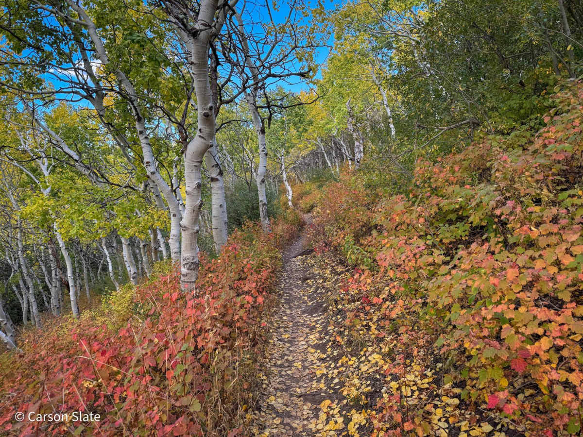 North Park trail photo