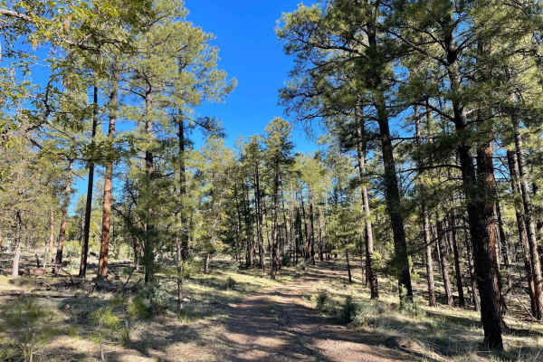 Apache Peak Road