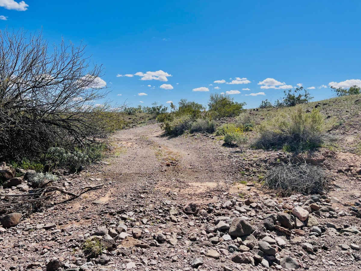 Mineral Mine Trail photo 6
