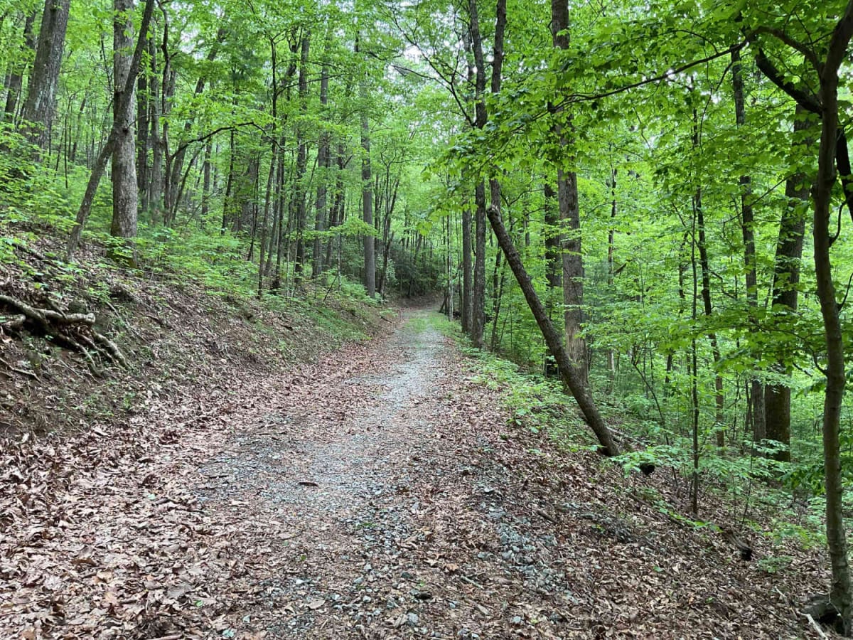 Blue Mountain Spring - FS 639 photo 2