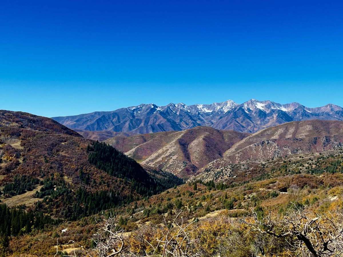 Right Fork Hobble Creek Road photo 4