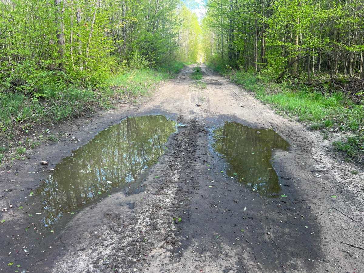 Mosquito Marsh Trail photo 6