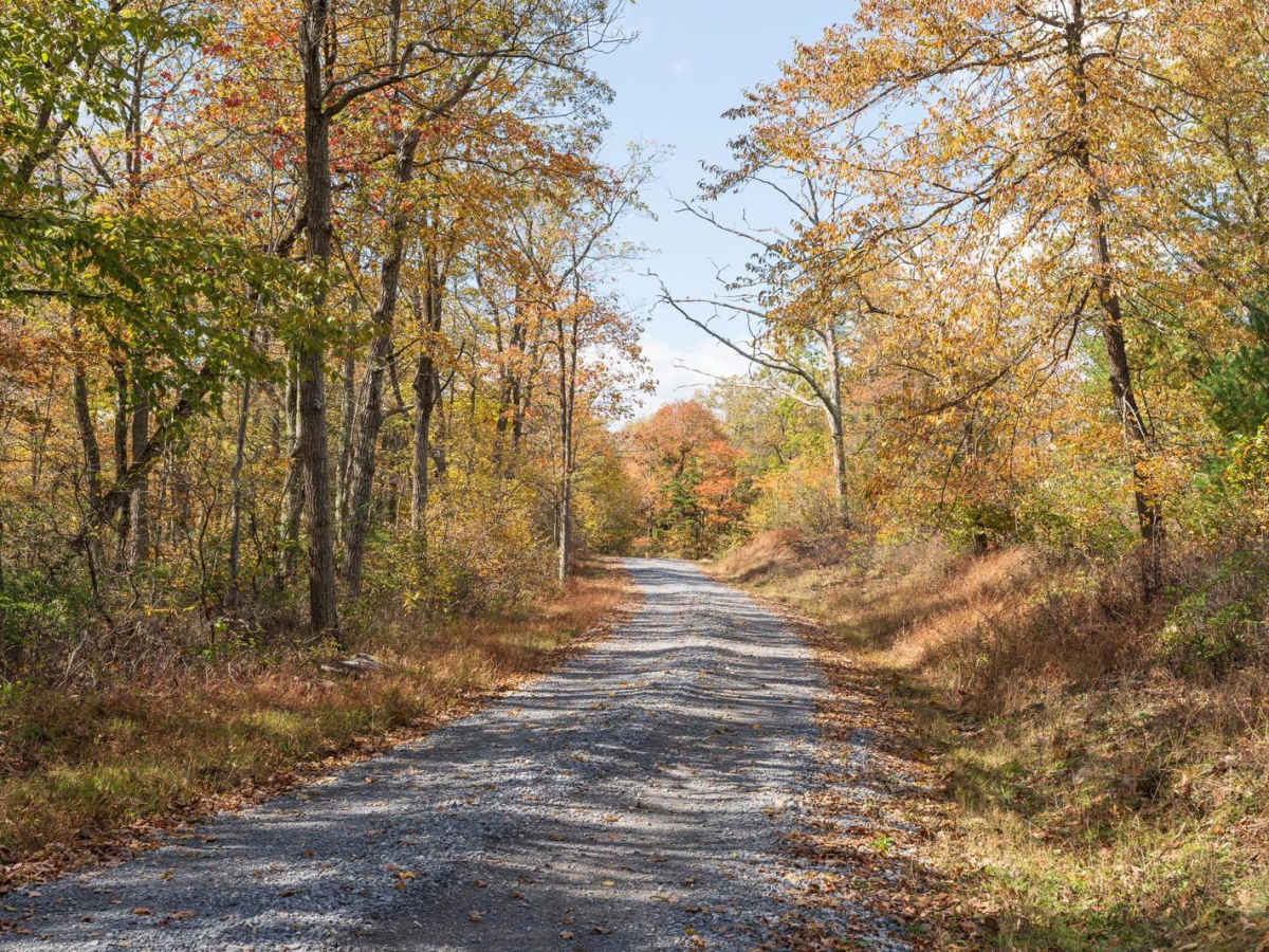 Rag Hollow Road photo 6