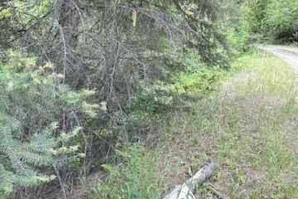 John's Creek Road (FSR)