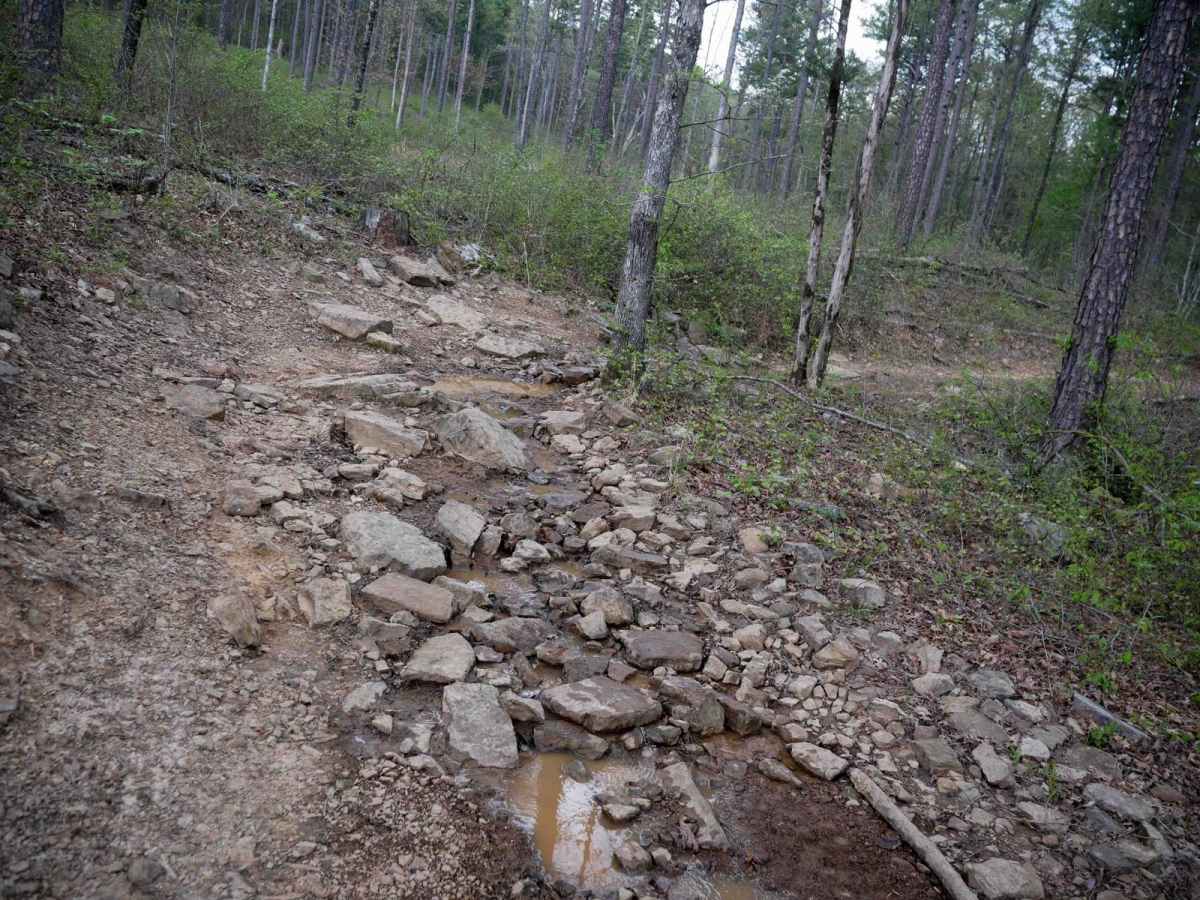 Gap Hollow Loop photo 3