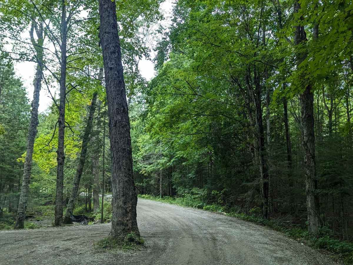 Silver Creek photo 5
