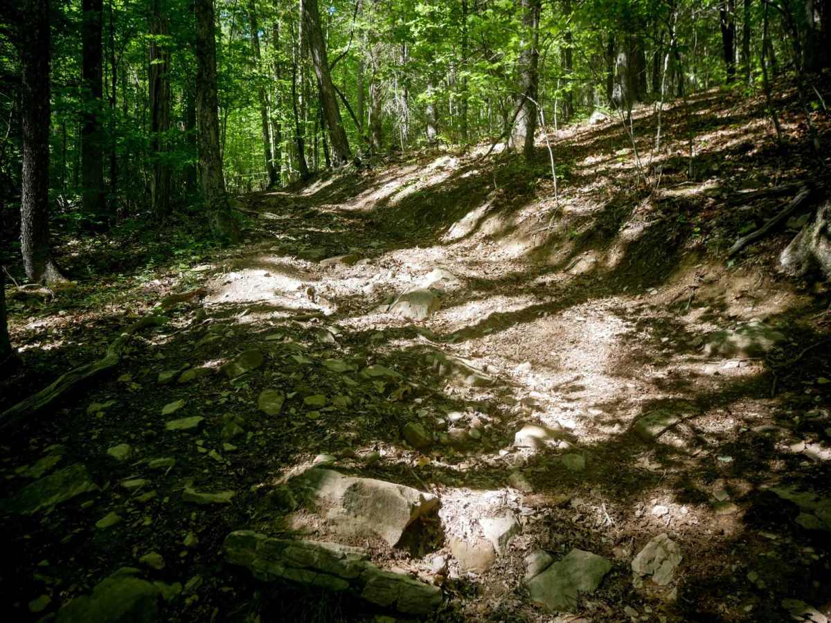 Trail 10 photo 2