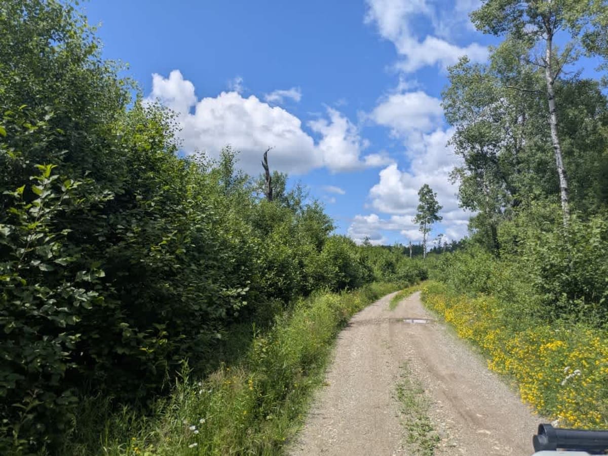 State Trail photo 3