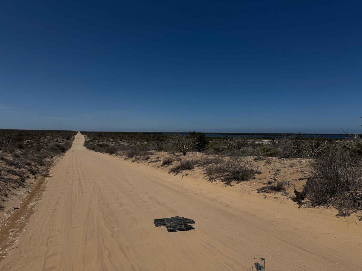 Rofomex photo 5