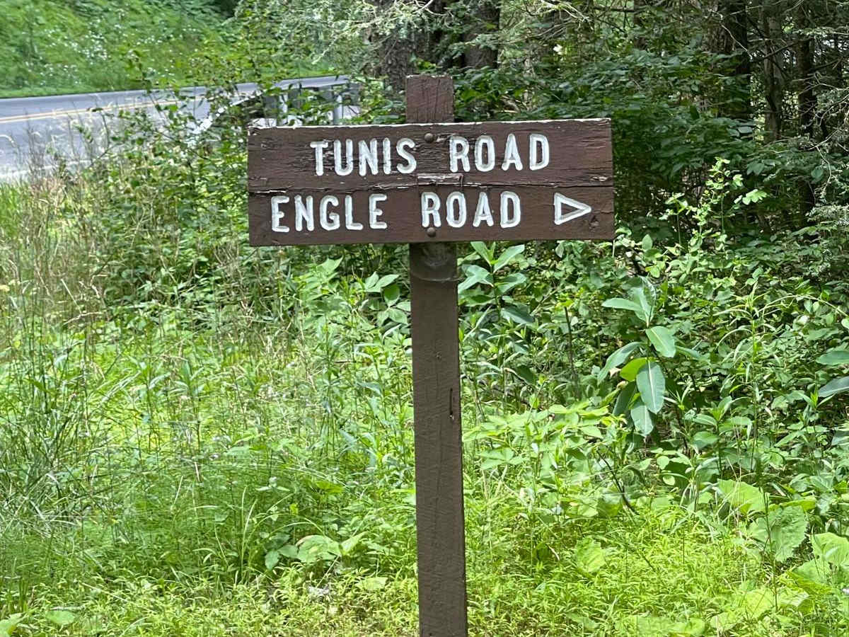 Tunis Road trail photo
