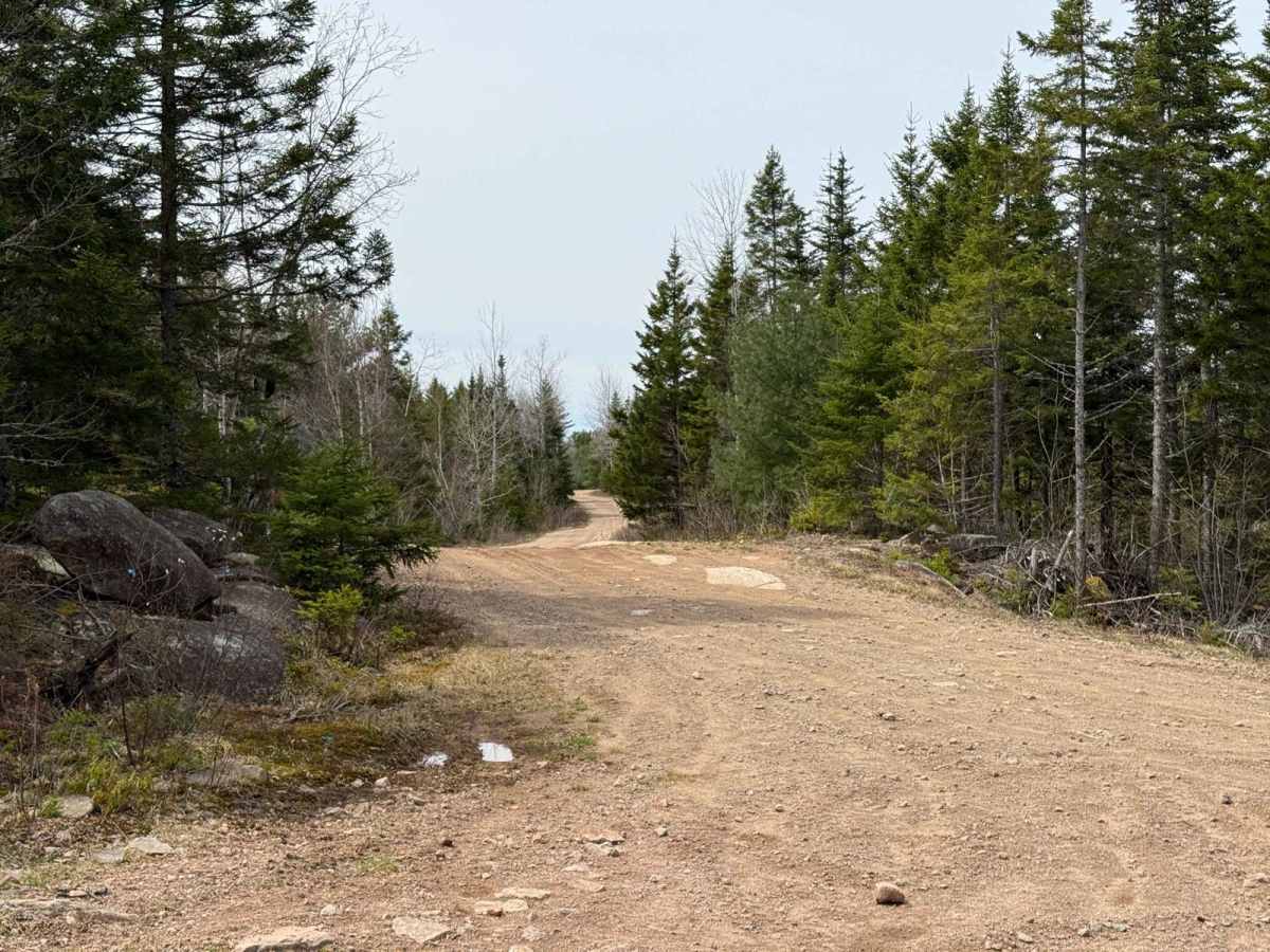 Route 12 photo 3