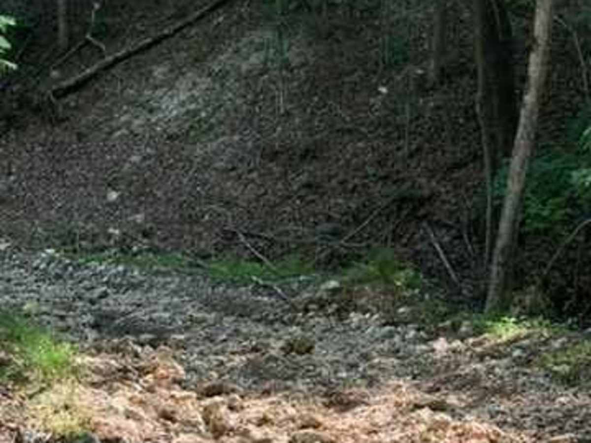Blake's Trail 2.0 photo 4