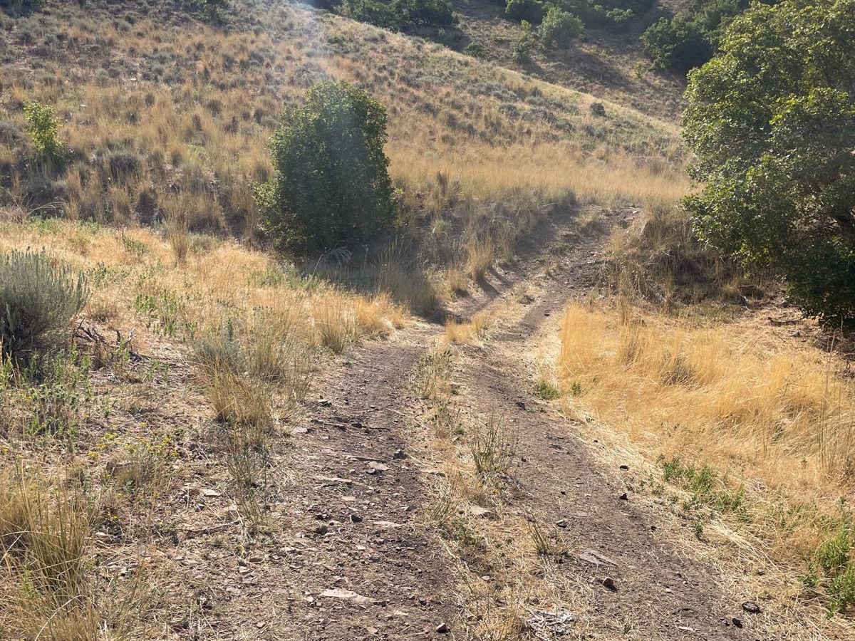Springs Road Fence Line Trail photo 5