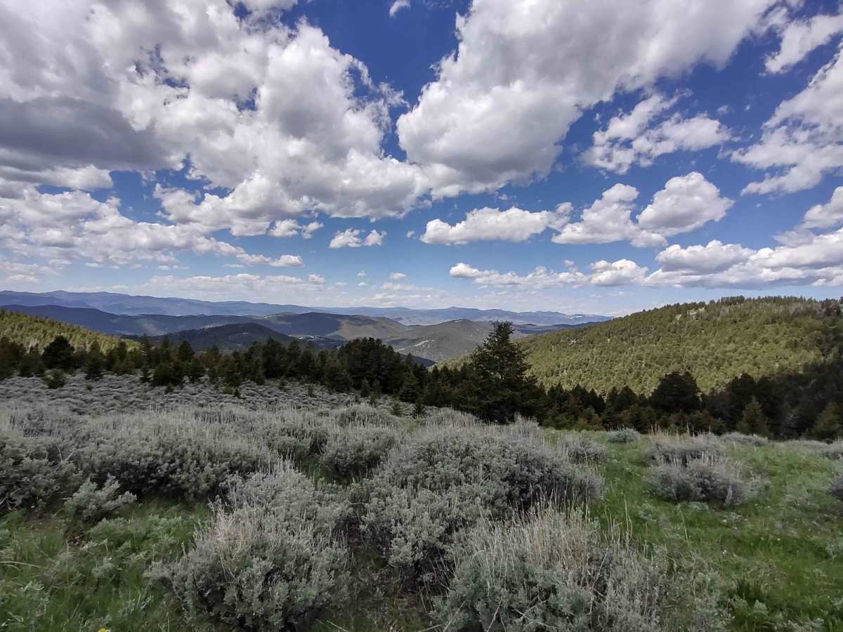 Skyline Mine Spur photo 5