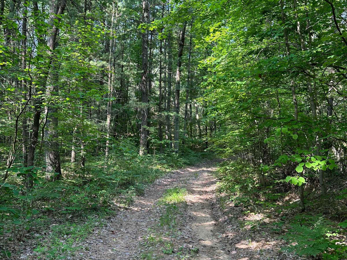 5714/Loop trail photo