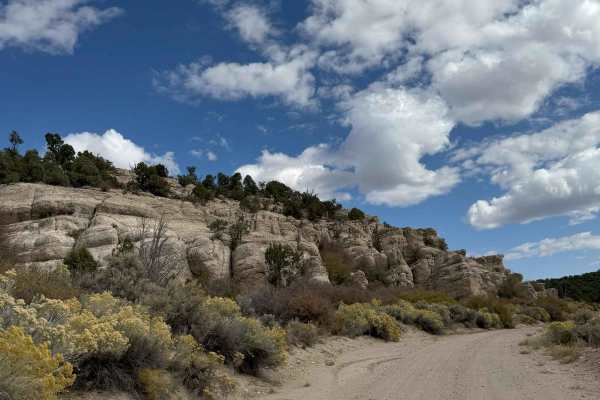 Deer Lodge Road