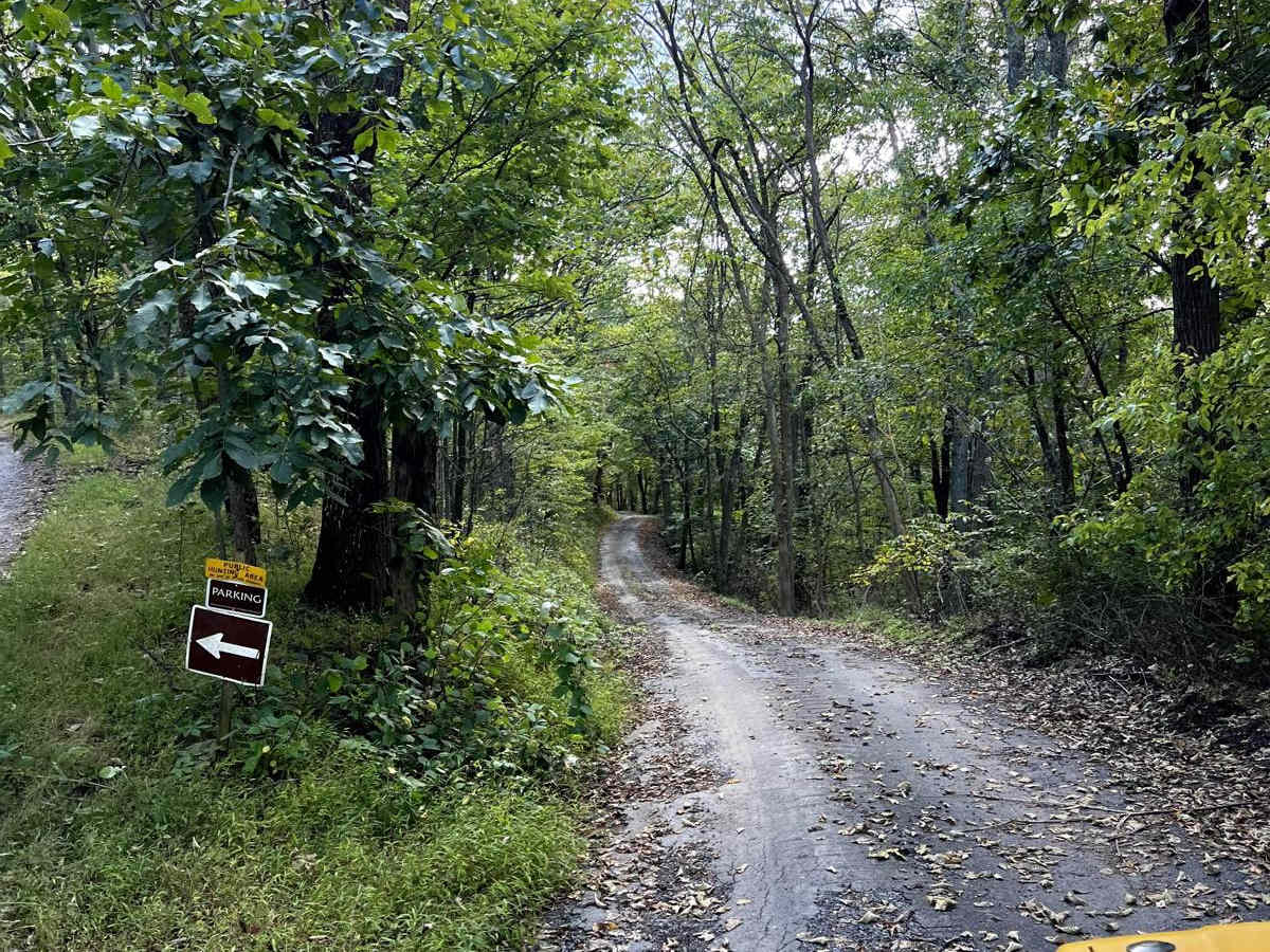 Riser Road photo 2