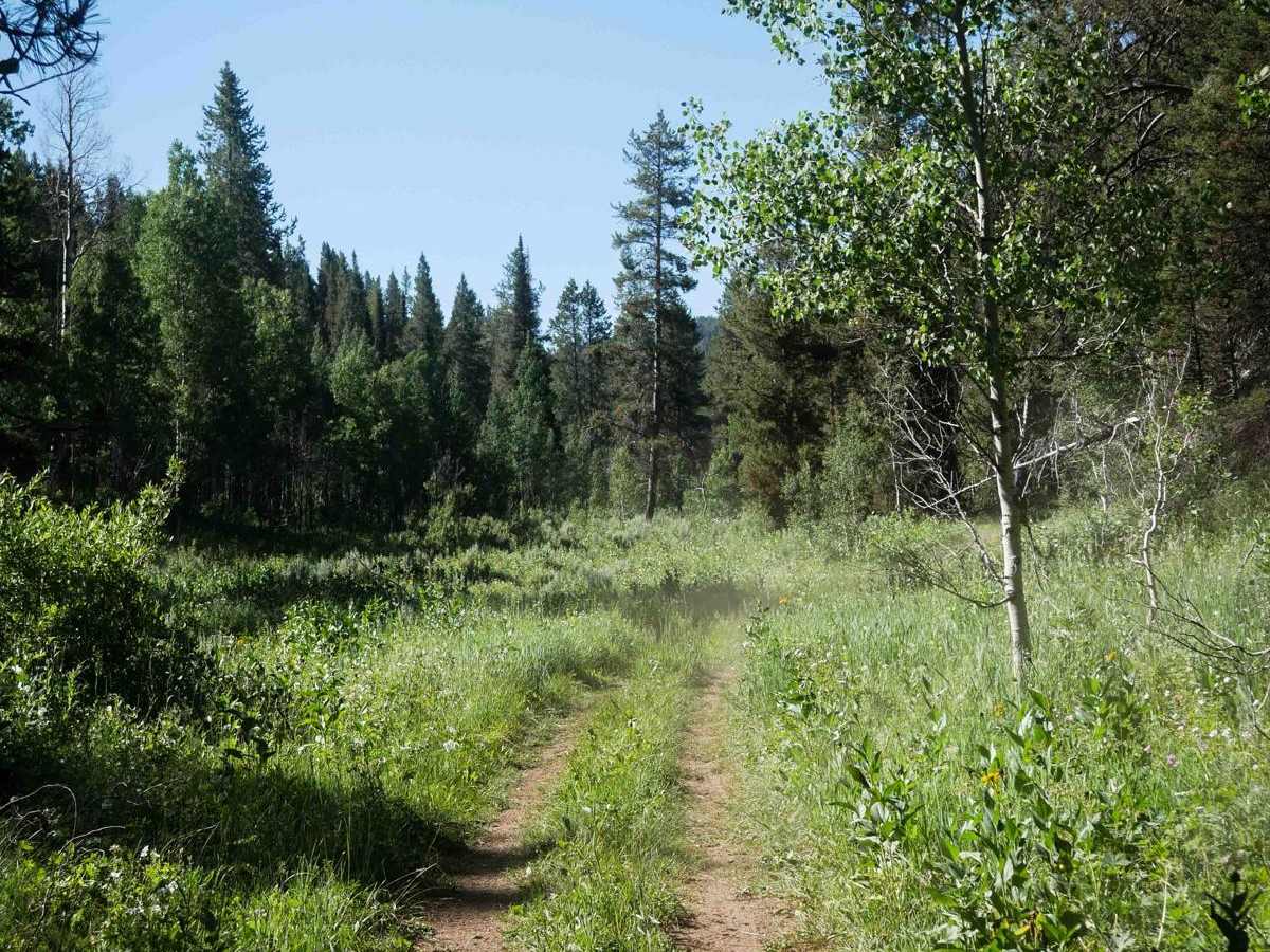 South Fork Timber Creek #5127 photo 4