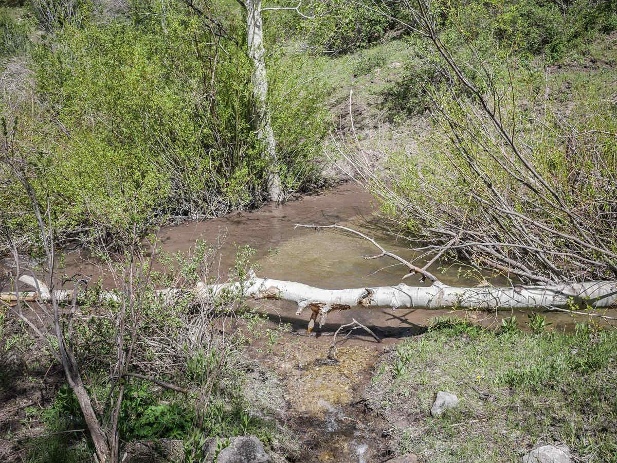 Fourth Water #017 photo 5
