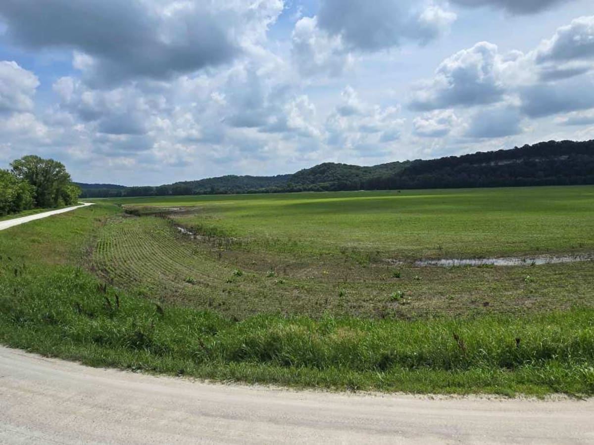 River Road photo 2