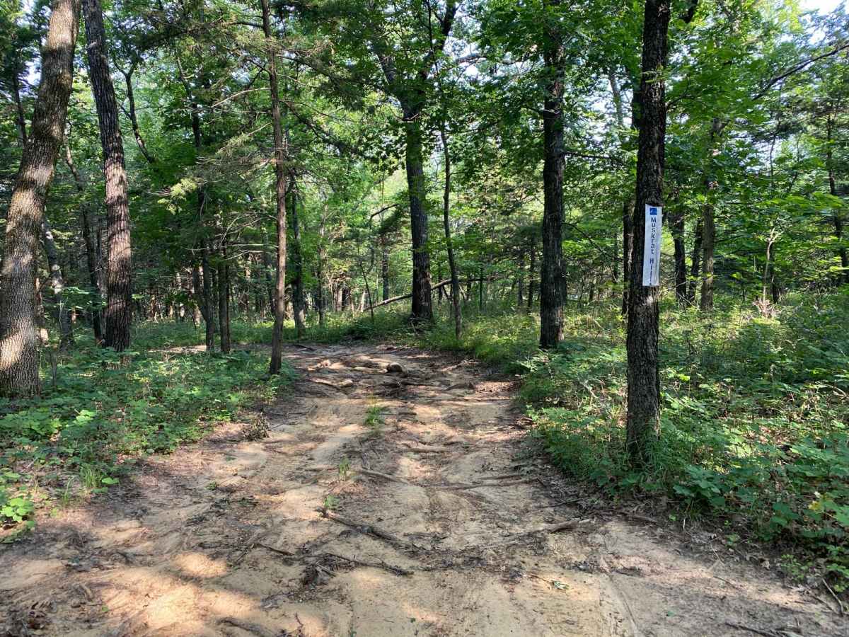 Muskrat Hill photo 5