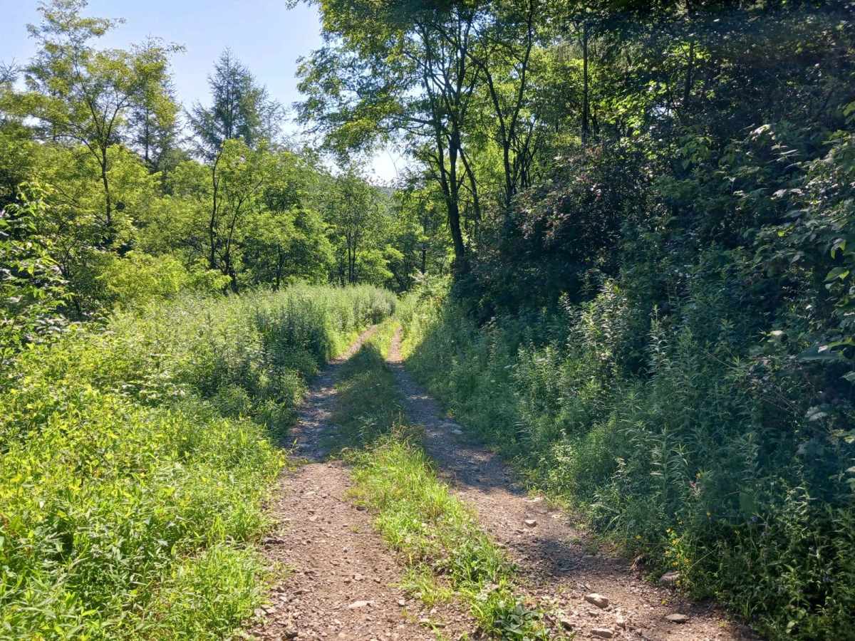Trail 14C - Rock Run Recreation Area photo 3