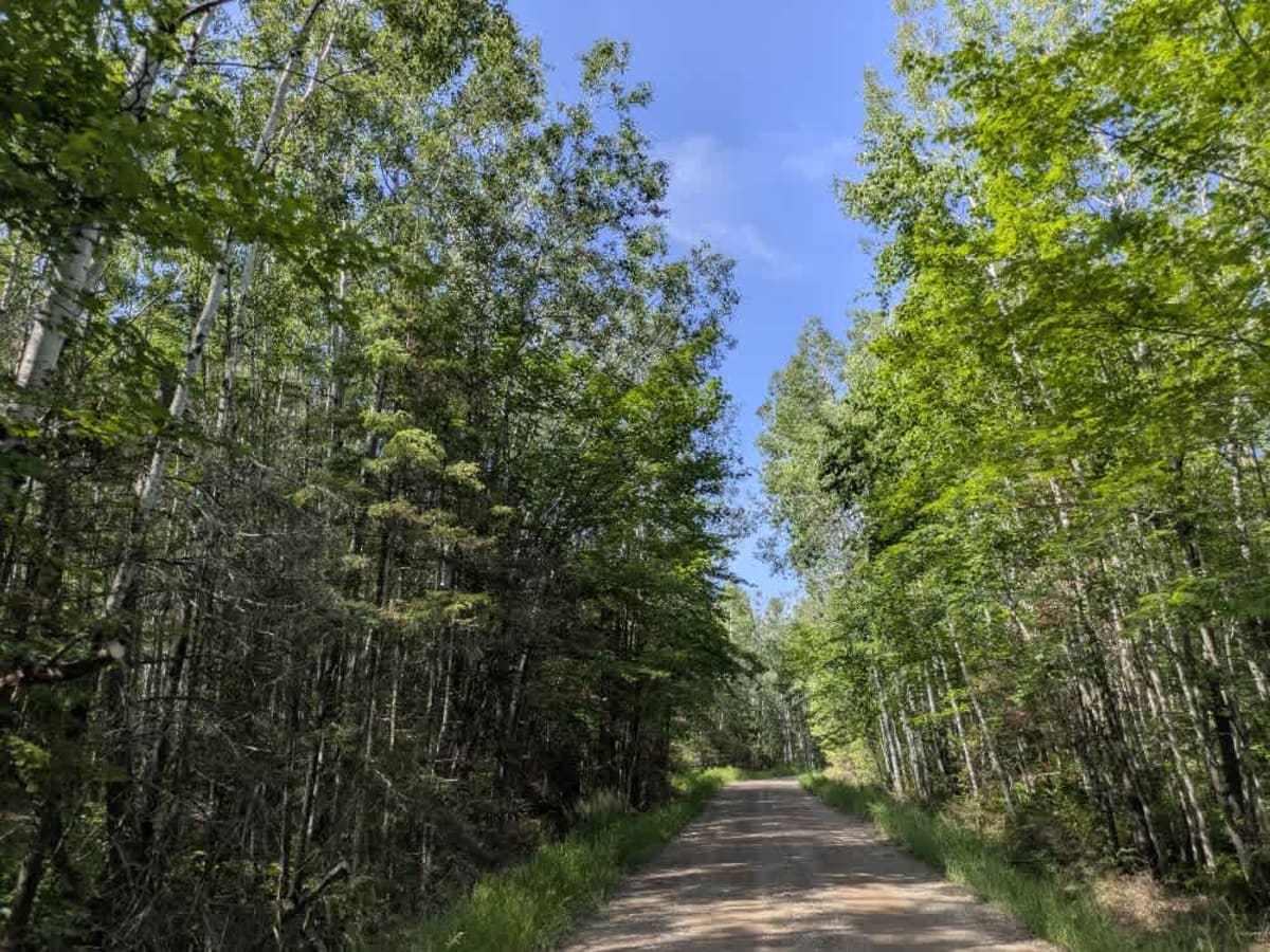 West Branch Trail photo 3