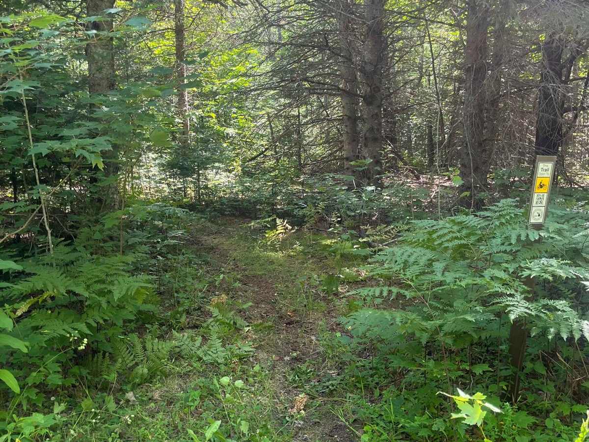 MCCCT Newberry to Rexton photo 2