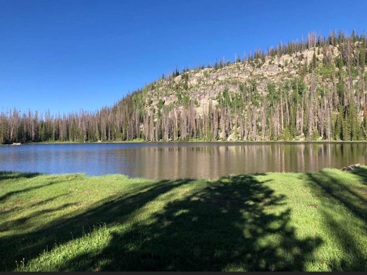 Spring Canyon Trail photo 3