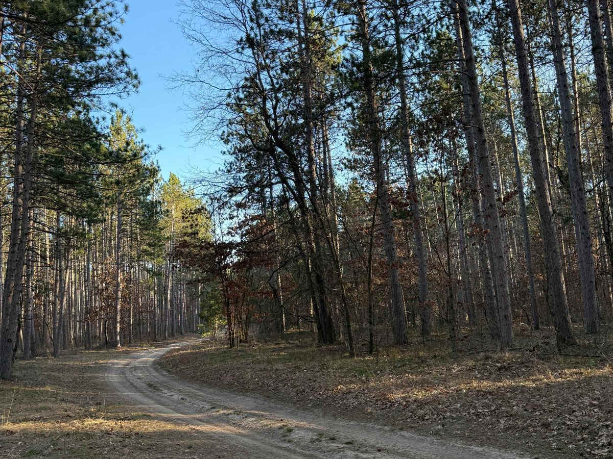 NFS 5098 trail photo