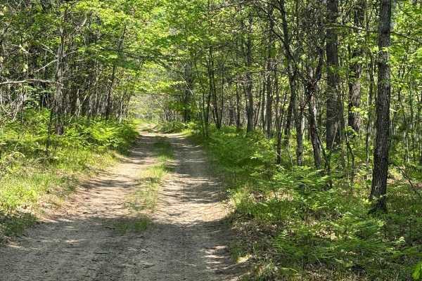 MCCCT Connector Trail