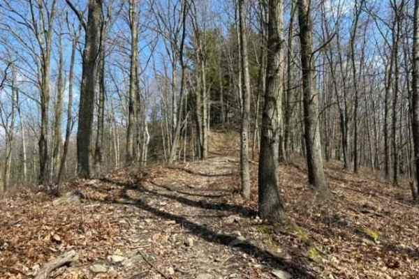 Ashland RORR Single Track - C