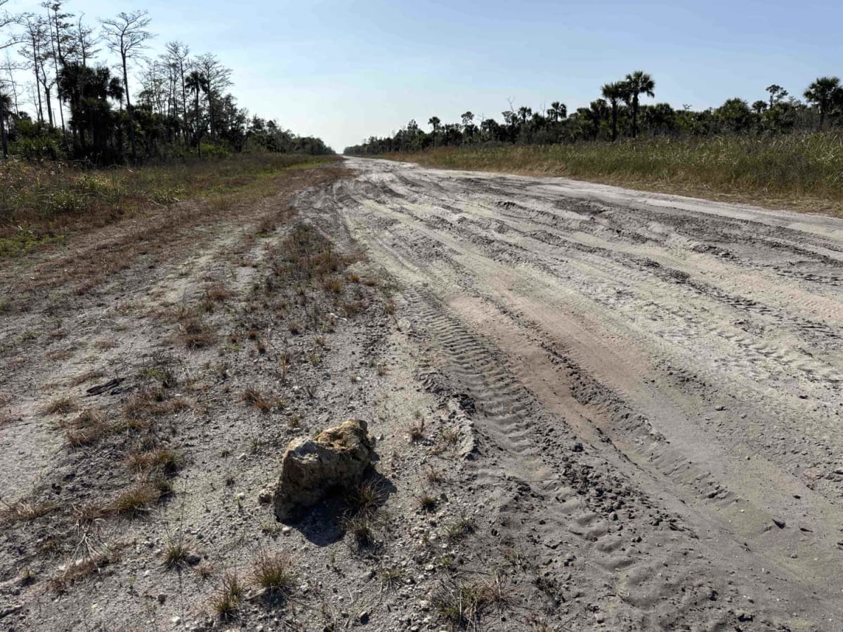 Miller Boulevard photo 4