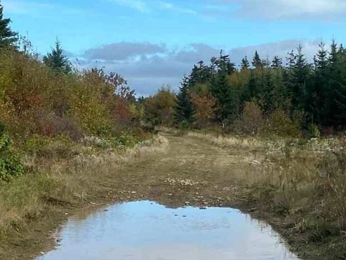 North Highland Road photo 2