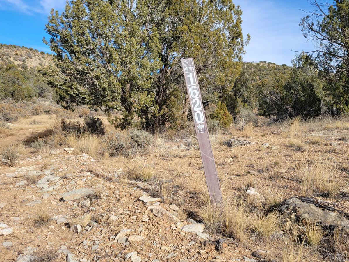 BLM Road 1620 trail photo